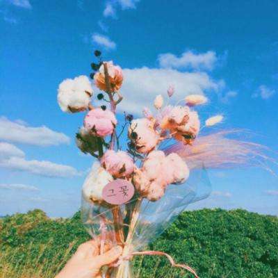 八公山二手房截图